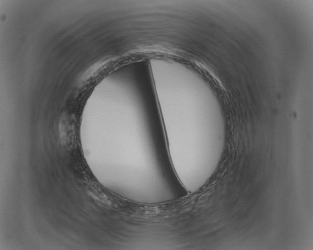 X0000082740968200702021341