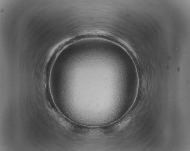 X0000082740979200702021341