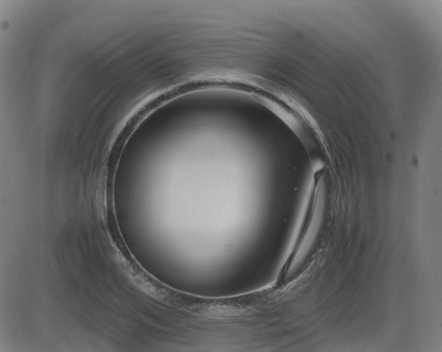 X0000082740984200702021341