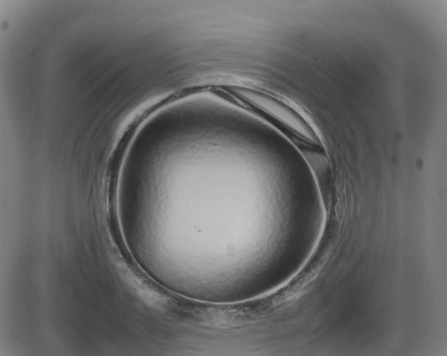 X0000082740987200702021341