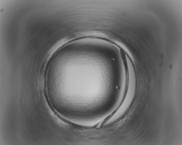 X0000082740999200702021341