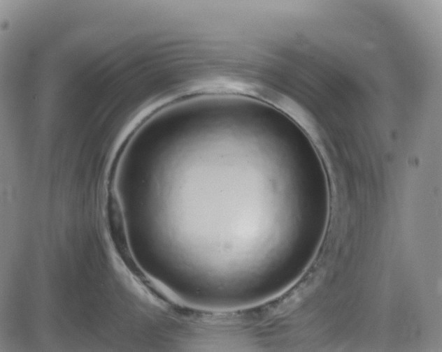 X0000082741008200702021341