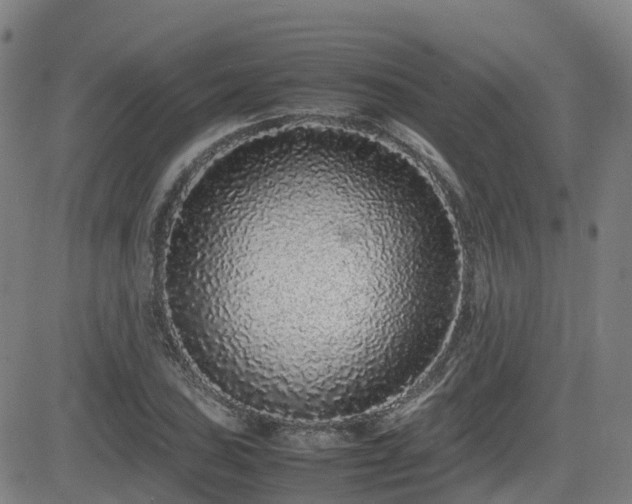 X0000082741027200702021340