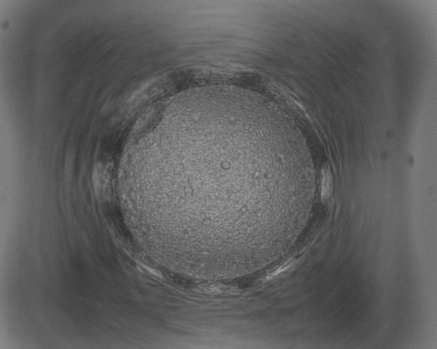 X0000082741059200702021340