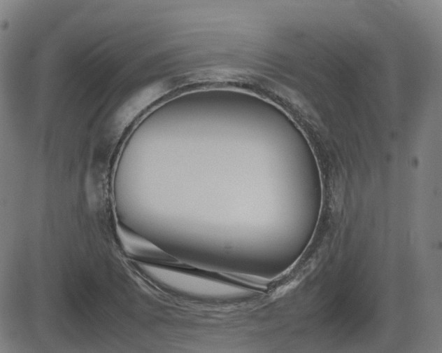 X0000082741073200702021340