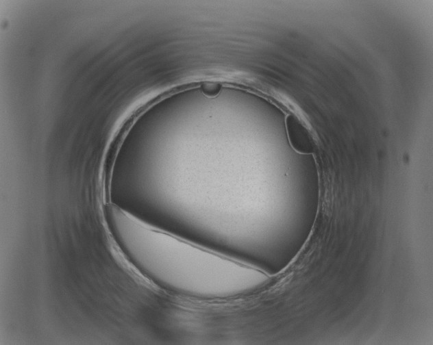 X0000082741080200702021339