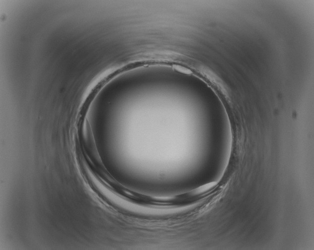 X0000082741085200702021339