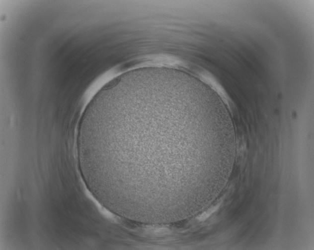 X0000082741103200702021339