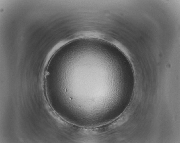 X0000082741104200702021339