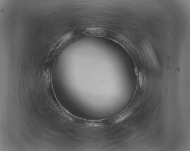 X0000082741107200702021338