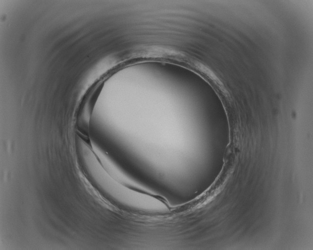 X0000082741122200702021339