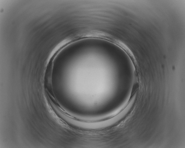 X0000082741138200702021339