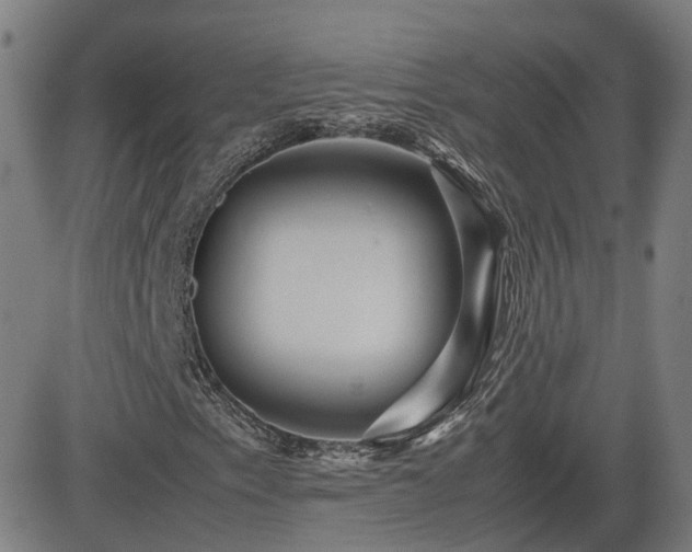 X0000082741153200702021338