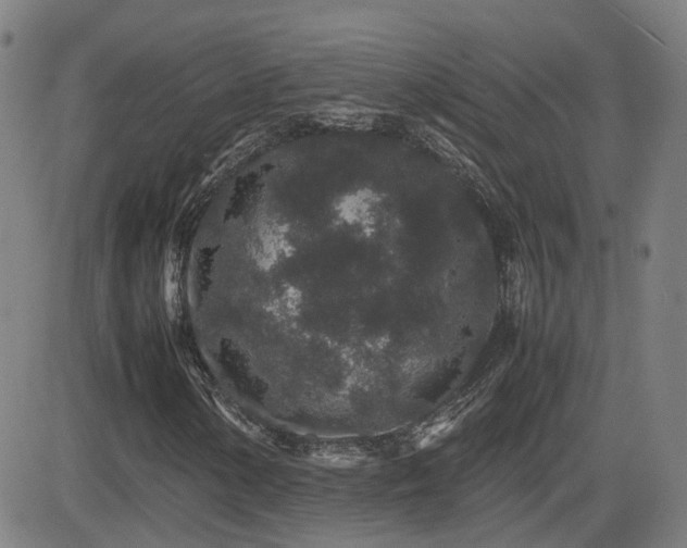 X0000082741154200702021338