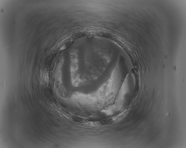 X0000082741155200702021338