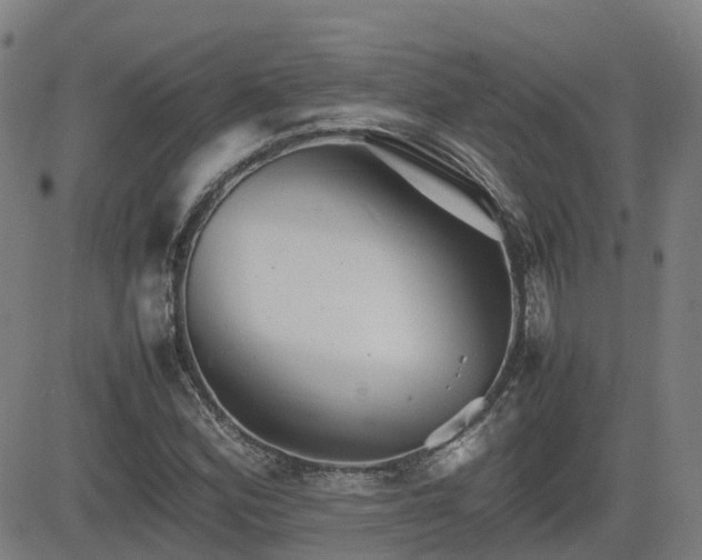 X0000082741164200702021338