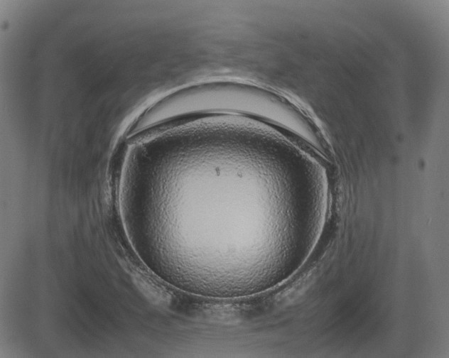 X0000082741167200702021338