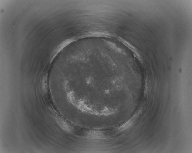 X0000082741170200702021338