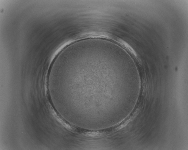 X0000082741182200702021338