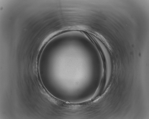 X0000082741184200702021338