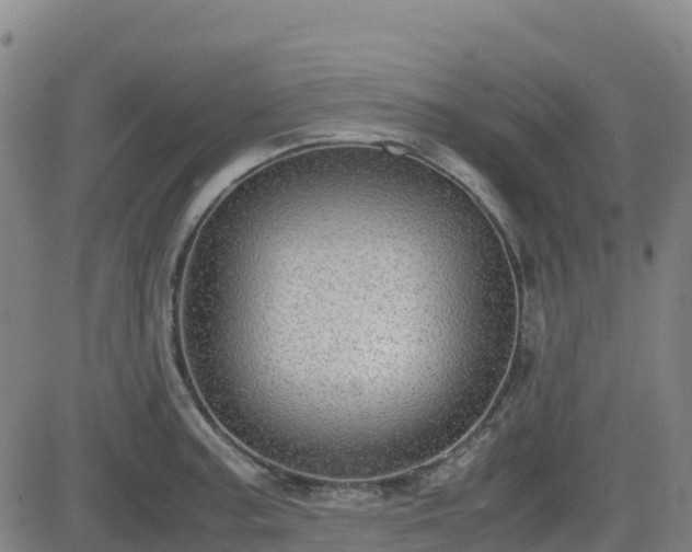 X0000082741187200702021338