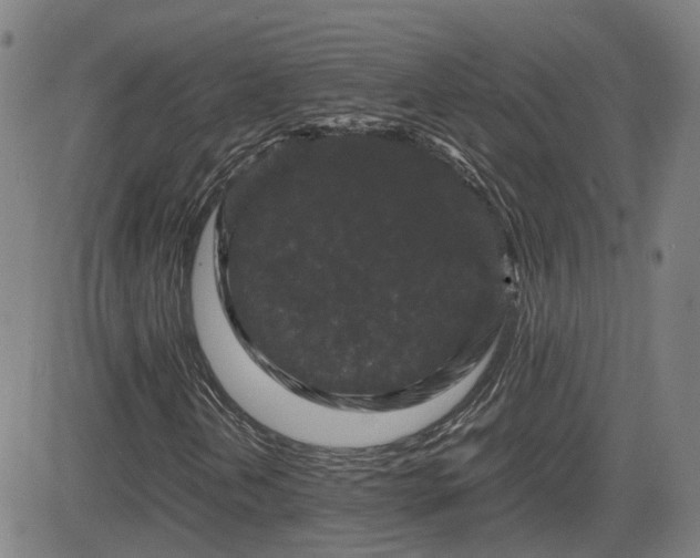 X0000082741202200702021337