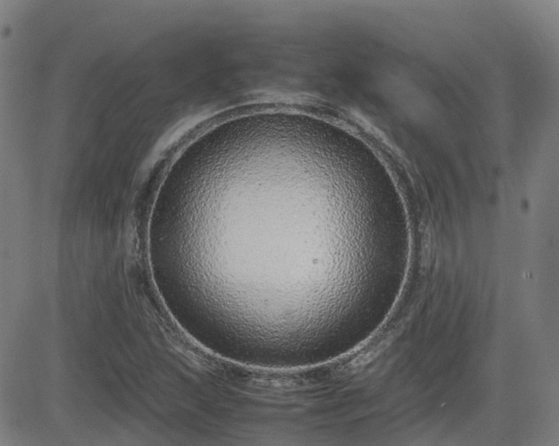 X0000082741215200702021337