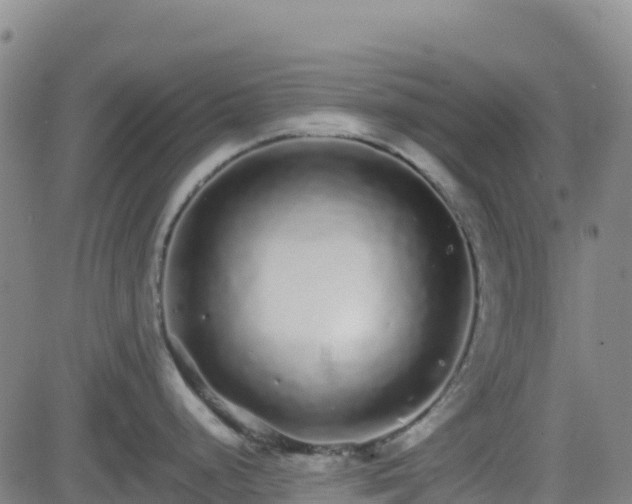 X0000082741248200702021337