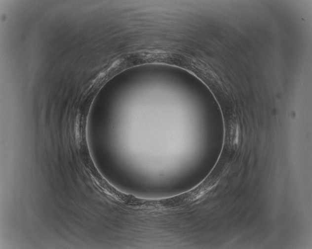 X0000082741250200702021337