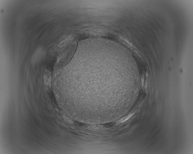 X0000082741251200702021337