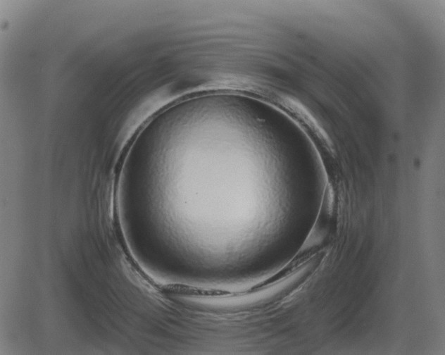 X0000082741276200702021336