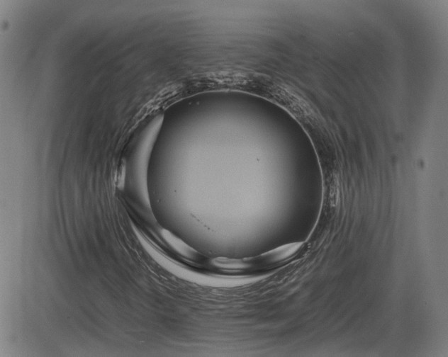 X0000082741298200702021335