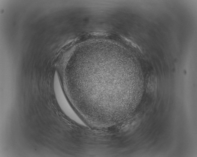 X0000082741301200702021335
