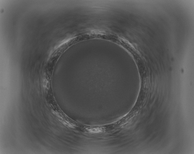 X0000082741303200702021335