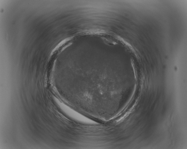 X0000082741306200702021335