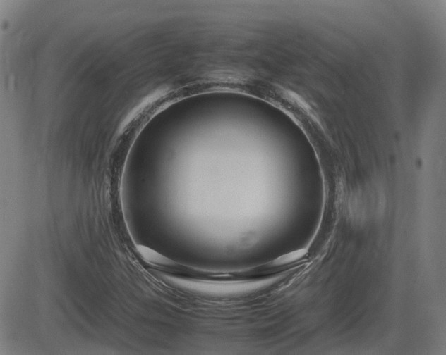 X0000082741307200702021335