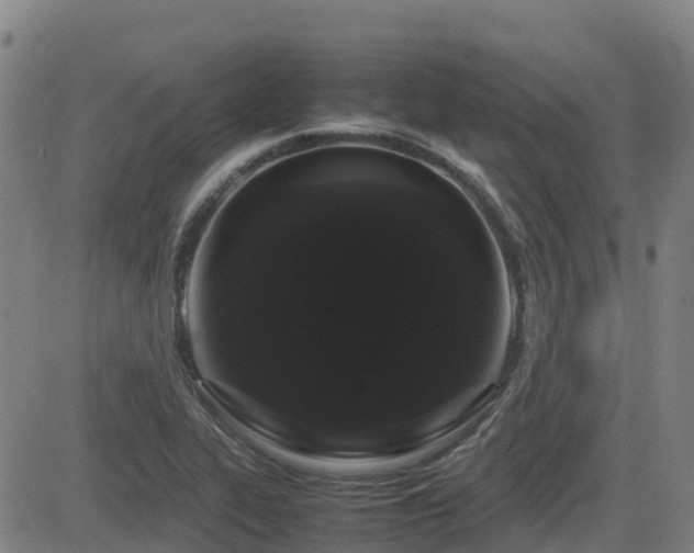 X0000082741319200702021335