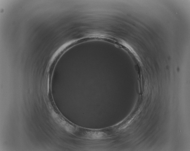 X0000082741323200702021336