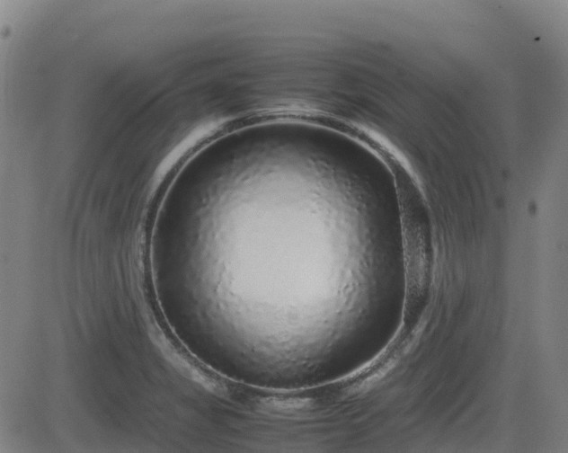 X0000082741325200702021336