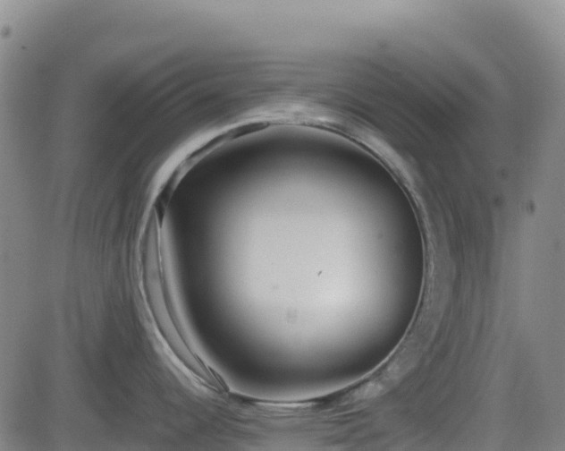 X0000082741344200702021336