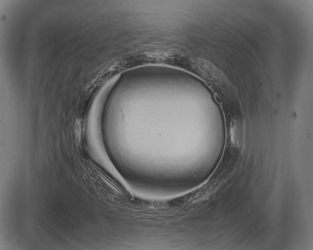 X0000082741347200702021335