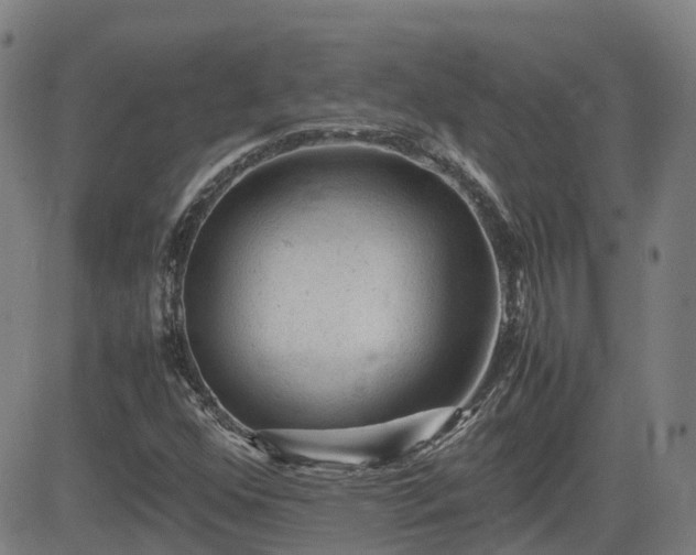 X0000082741352200702021335