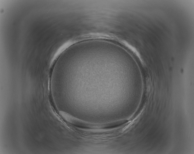 X0000082741365200702021335