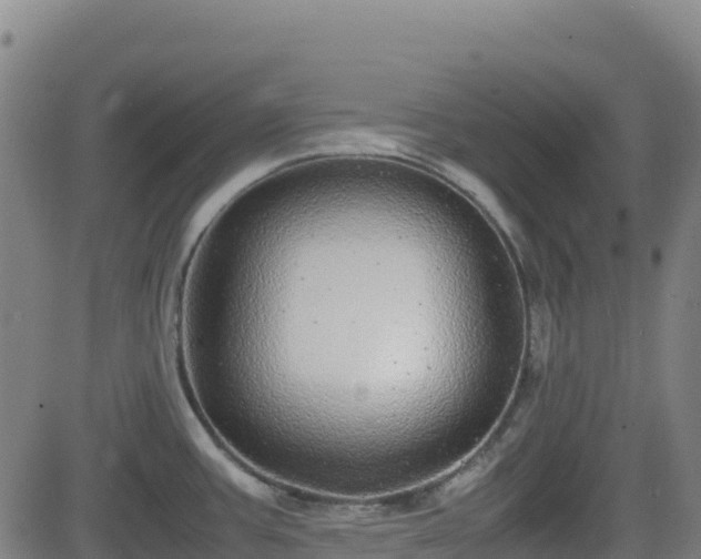 X0000082741387200702021334