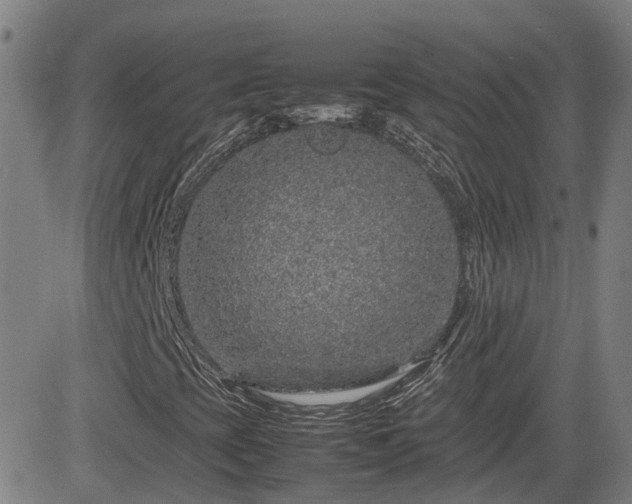 X0000082741393200702021334