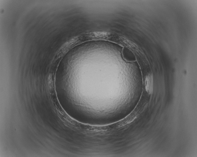 X0000082741395200702021334