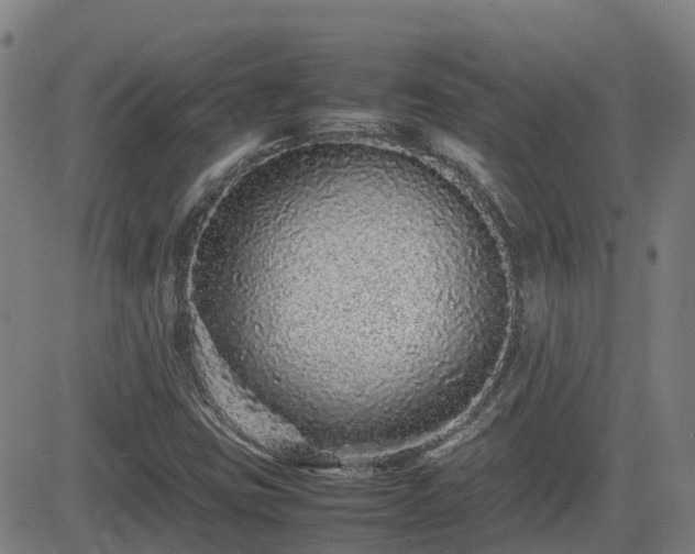 X0000082741403200702021334