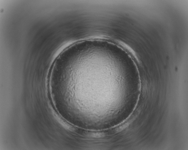 X0000082741423200702021334