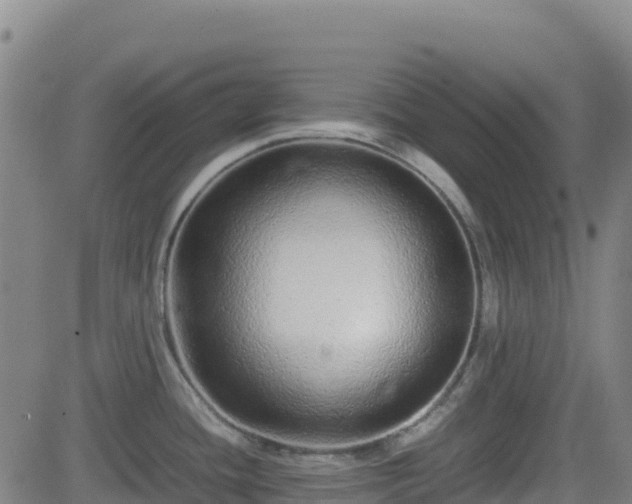 X0000082741436200702021334