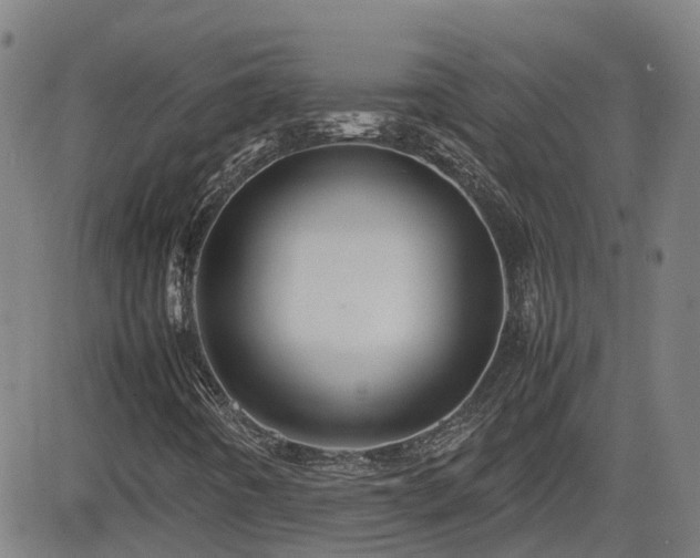 X0000082741442200702021334